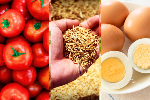 Preço de alimentos cai pela primeira vez em 10 meses e prévia da inflação fica em 0,26% em junho