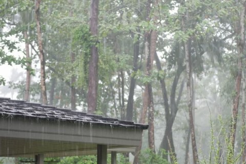 Alerta de Ventania e Frio no Rio Grande do Sul: Prepare-se para um Fim de Semana Gelado