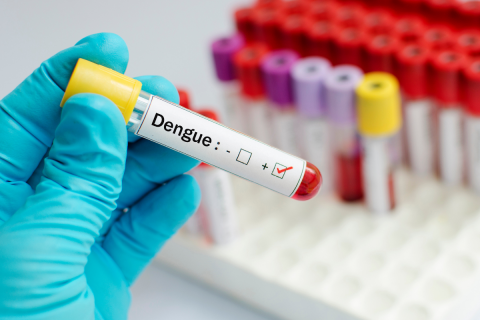 Casos de dengue no RS chegam a 20.924; Candelária tem 164 aponta SES RS