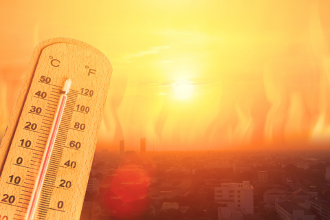 La Niña confirmado. O que isso significa para o Rio Grande do Sul?