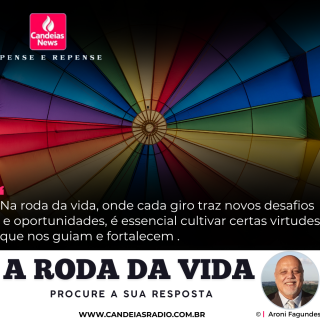 A RODA DA VIDA | Procure sua resposta